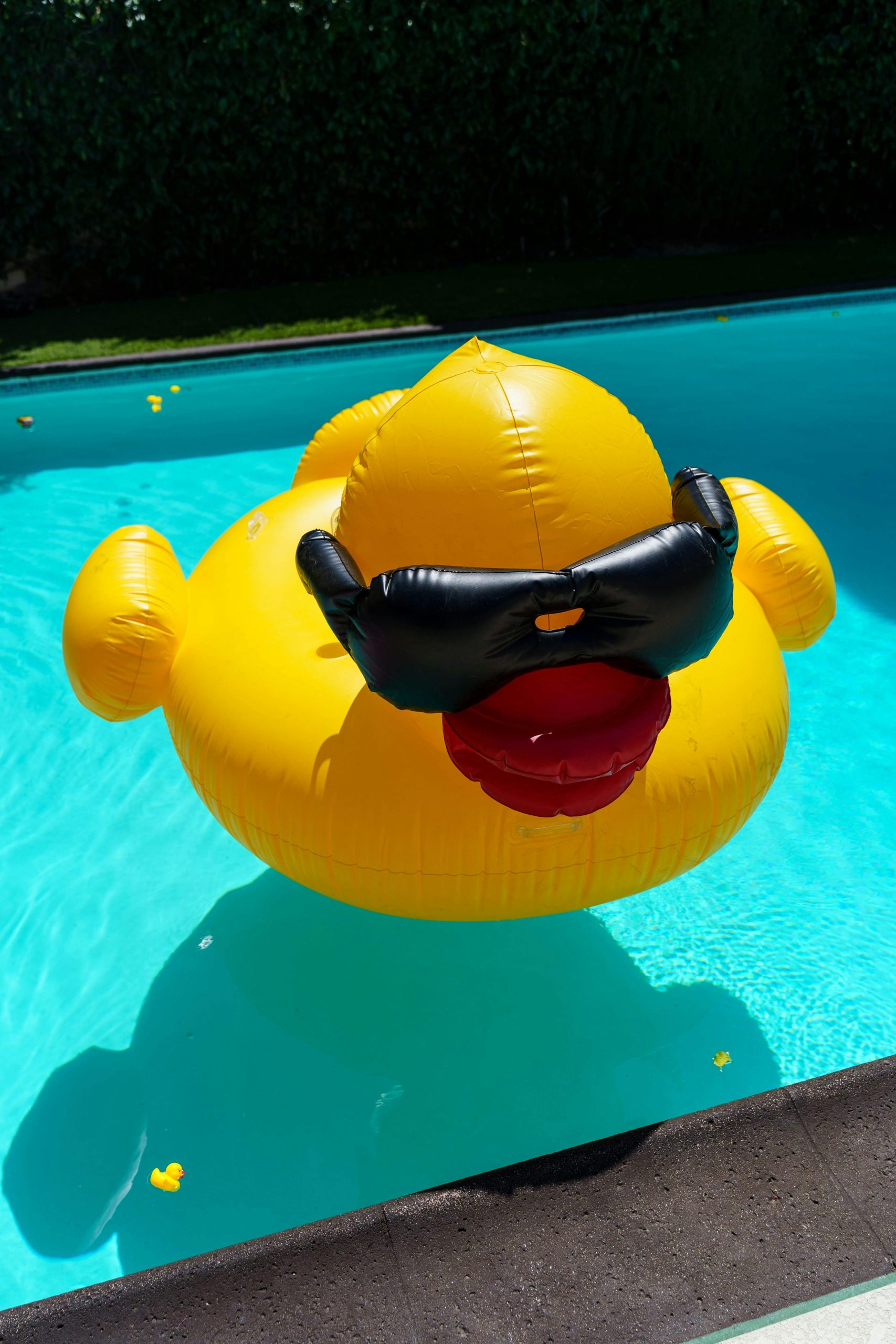 Clean backyard swimming pool