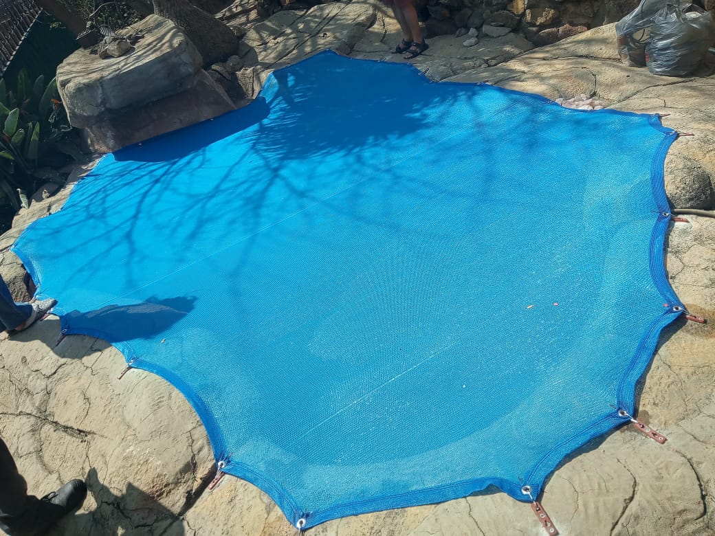 Custom Leaf Catcher Installation